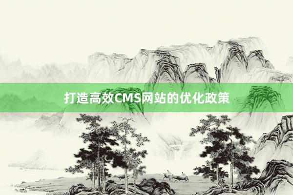 打造高效CMS网站的优化政策